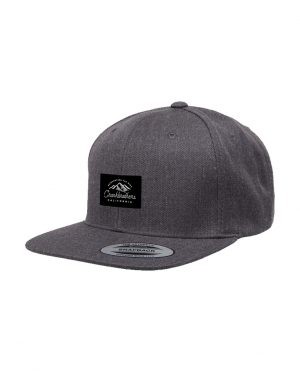 GORRA CRANKBROTHERS SNAPBACK – GRIS